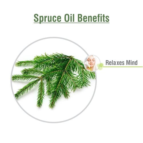 Spruce Oil (Tsuga Canadensis) Therapeutic Essential Oil with dropper Amber Bottle 100% Natural Uncut Undiluted Pure Cold Pressed Aromatherapy Premium Oil - 15ML/ 0.5 fl oz - BeesActive Australia