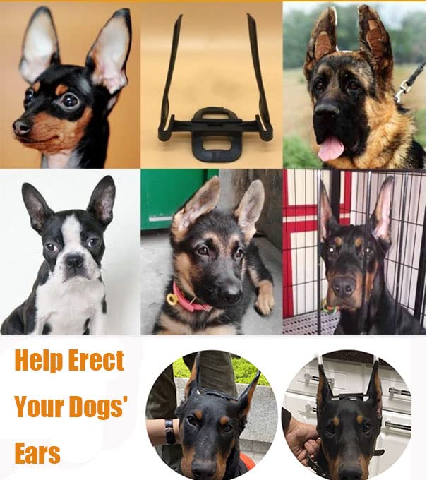 Yanzisno1 Dog Ear Care Tool Pet Dog Ear Stand Up Support Ear Posting Kit for Doberman Pinscher Dog Samoyed Huskiy with forceps - BeesActive Australia