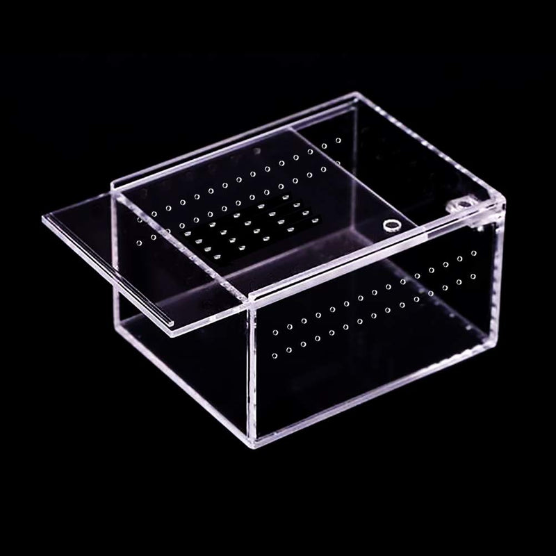 NANEEZOO Acrylic Reptile Breeding Box, 5x4x3 Inch Nano Flat/Long Enclosure Transparent Reptile Breeding Box Terrarium Cage Tank for Tarantula Scorpion Sling Isopods Invertebrates Insect Mantis - BeesActive Australia
