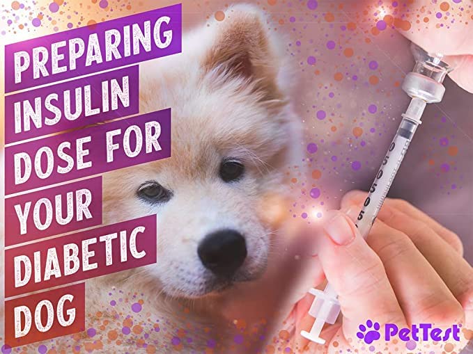 Advocate PetTest U-40 Pet Insulin Syringes Thin 31G 1/2CC, 0.5cc 5/16" for Dogs and Cats 100-Pack 0.5 cc (1/2 cc) 100 pack - BeesActive Australia