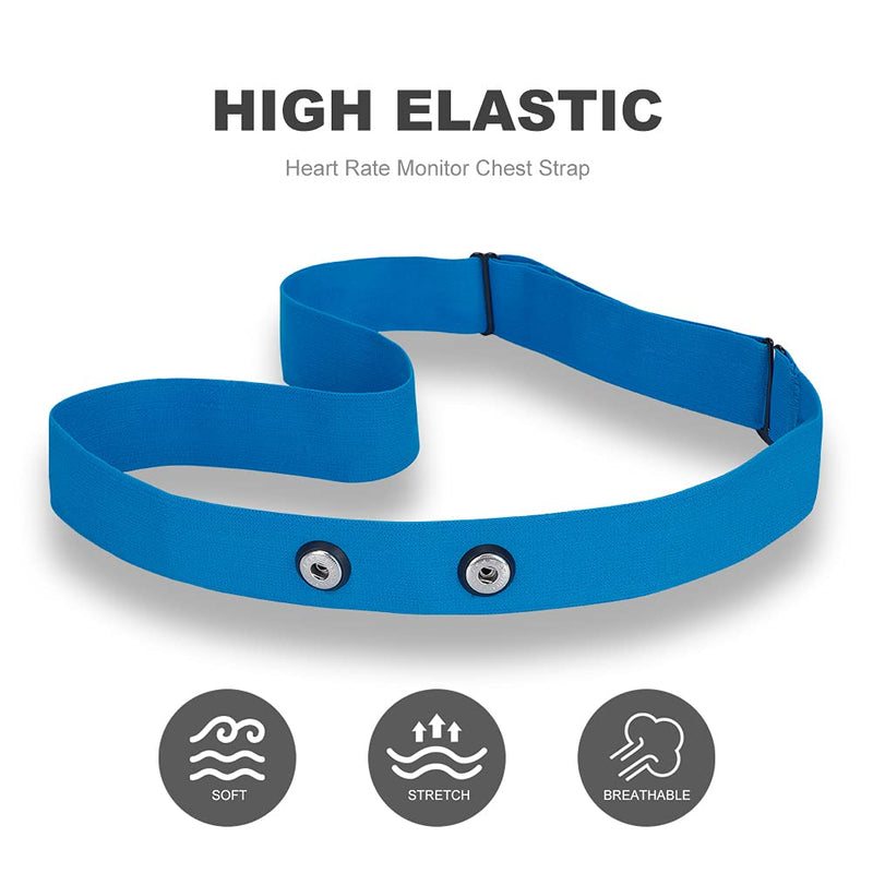Heart Rate Monitor Replacement Chest Strap Blue Medium - BeesActive Australia