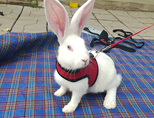 Multipurpose Rabbits Hamster Vest Harness with Leash Bunny Mesh Chest Strap Harnesses Ferret Guinea Pig Small Animals Pet Accessories Blue S - BeesActive Australia