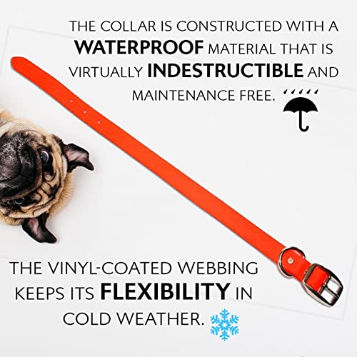 Regal Dog Products Waterproof Dog Collar - Custom Fit Vinyl-Coated Webbing Water Resistant, Double Buckle and D Ring Medium Orange - BeesActive Australia