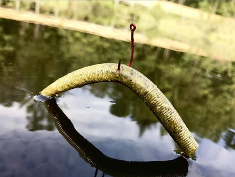 [AUSTRALIA] - YUM Dinger Classic Worm All-Purpose Soft Plastic Bass Fishing Lure - Great Texas Rigged, Wacky Style, Carolina Rigged, Pitched, Etc. Green Pumpkin/Purple Flake 4" 