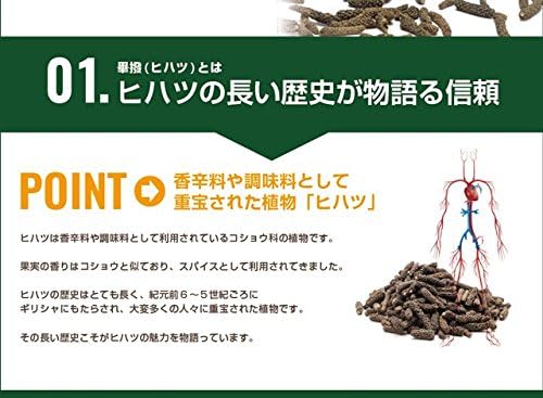 hihatuekisu Grain EX - BeesActive Australia