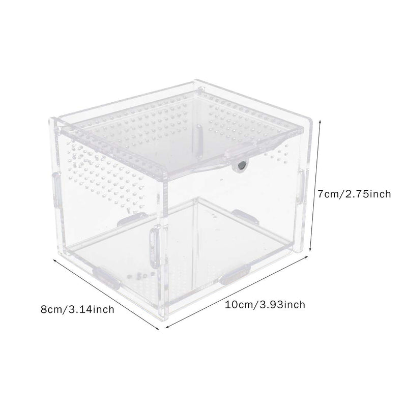Acrylic Reptile Feeding Box 7.9x4.7x4.7inch Transparent Glass Breeding Box Terrarium with 2 Pcs Straight and Curved Tweezers for Pet Insect Spider Crickets Snails Hermit Crabs Lizard - BeesActive Australia