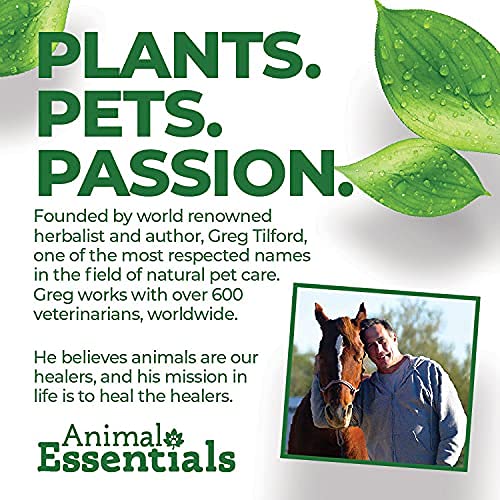 Animal Essentials Seasonal Allergy Herbal Supplement for Dogs & Cats - Made in The USA, Sweet Tasting Allergy Relief 1 fl oz (30 ml) - BeesActive Australia