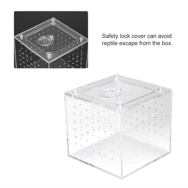 ViaGasaFamido Transparent Reptile Insect Viewing Box, Live Food Storage Acrylic Reptile Breeding Box for Spider Crickets Snails Tarantulas Geckos 3.9x3.9x3.5inch - BeesActive Australia