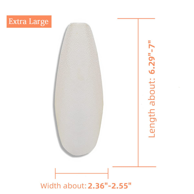 2 Pcs Large Cuttlebone for Birds Parrots, Cuddle Bones with Plastic Holder for Cockatiels Parakeets Budgies Finches, Extra Large Cuttlefish Bone About 6.29" Orange - BeesActive Australia