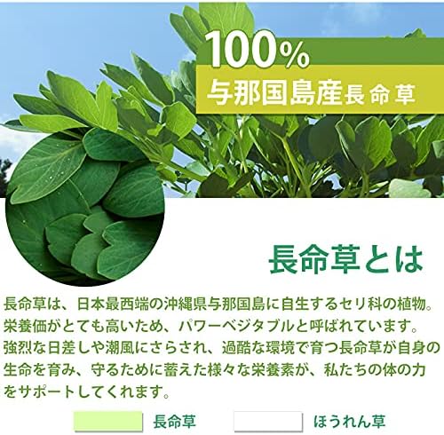 (Professional Athlete Supervision) Genuine Euglena Supplement, Euglena Supplement, 1 Bag (More Than 59 Types of Nutrition Over Green Juice, Including Natural Zinc, Vitamins, Iron, Magnesium, Amino Acids, Polyphenols, Dietary Fiber, Etc.) - BeesActive Australia
