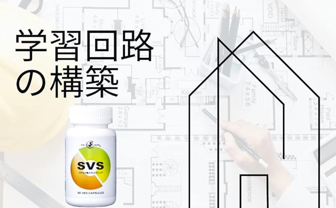 [For indomitable will, learning, dopamine, concentration, motivation, overall health supplement] Chiron SVS Ginkgo biloba 120mg Phosphatidylserine Soybean extract 100mg Ginseng 200mg Bacopa 40mg as ba - BeesActive Australia