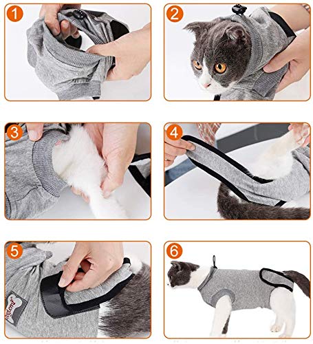 DogLemi Cat Recovery Suit for Abdominal Wounds and Skin Diseases, Professional After Surgey Wear Soft Comfort E-Collar Cone Alternative for Small Medium Cats Kitten Wounds Skin Diseases S - BeesActive Australia
