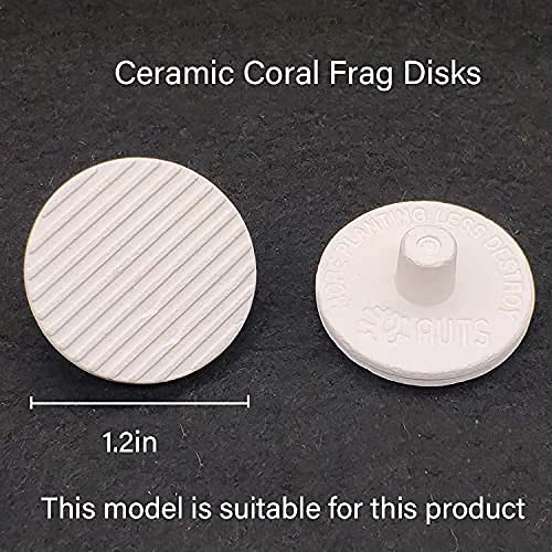 13 Plug Holes Coral Frag Rack Clear Acrylic Coral Holder Aquarium Fish Tank Button Coral Reef Broken Frame Enhanced Suction Cup (2 Pack) - BeesActive Australia