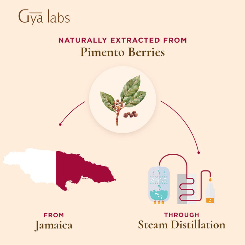 Gya Labs Allspice Essential Oil (10ml) - Sweet, Spicy & Comforting Scent All Spice 0.34 Fl Oz (Pack of 1) - BeesActive Australia