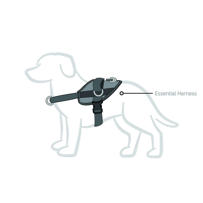 SHAWNCO Front Lead D-Ring Attachment for Essential Dog Harness Large (50MM) - BeesActive Australia