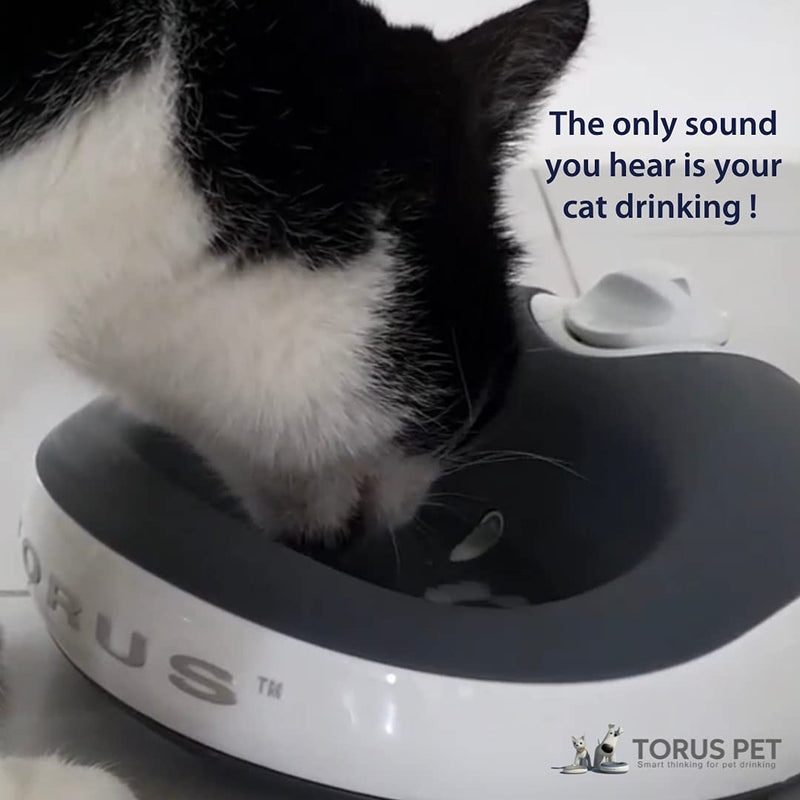 Torus Pet Mini Filtered Water Bowl - 1 Liter – Home and Travel Bowl - Autofill - Portable - Antimicrobial - BPA Free - Cat - Small Dog Red - BeesActive Australia