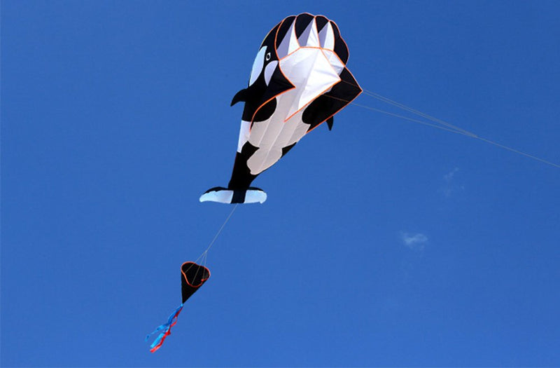 [AUSTRALIA] - Hengda KITE-3D Kite Huge Frameless Soft Parafoil Giant Black Dolphin Breeze Kite 