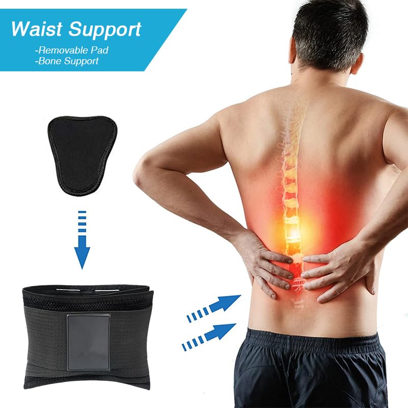 Breathable Mesh Back Support Brace for Men & Women | Abdominal Support Belt for Back Pain Relief |Magnetic Therapy Belt | Waist Trimmer | Lumbar Support Belt for Sciatica, Scoliosis, Spine Injury (M) M - BeesActive Australia