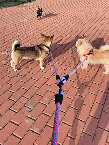 Mycicy Double Dog Leash Coupler+18inch Short Rope Dog Leash - BeesActive Australia