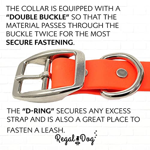 Regal Dog Products Waterproof Dog Collar - Custom Fit Vinyl-Coated Webbing Water Resistant, Double Buckle and D Ring Medium Orange - BeesActive Australia