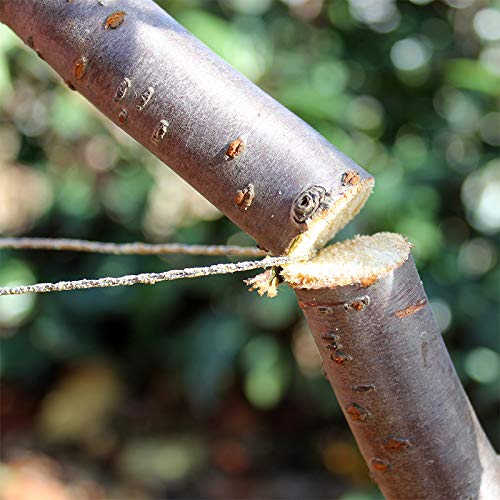 Tag-Z Wire Saw - Stainless Steel Camping Wire Saw - Emergency Outdoor Survival Saw - Compact & Lightweight Saw for Hiking - BeesActive Australia