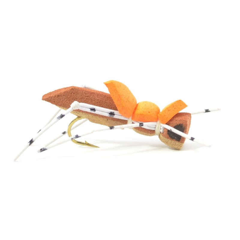 The Fly Fishing Place Basics Collection - Foam Hoppers Dry Fly Assortment - 10 Dry Fishing Grasshopper Flies - 5 Patterns - Hook Size 10 - BeesActive Australia