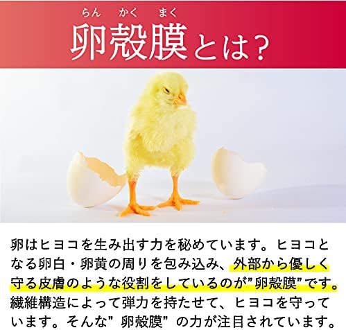 Eggshell Membrane Supplement Drinkable Eggshell Membrane 450 60 tablets Eggshell Membrane Supplement - BeesActive Australia