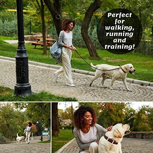 ADITYNA Leather Dog Leash 6 Foot - Soft and Strong Leather Leash for Small and Medium Dog 6 ft x 5/8" Brown - BeesActive Australia