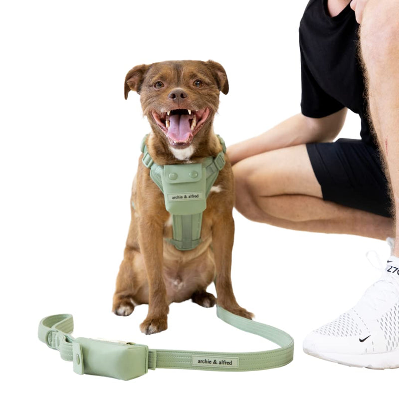 No Pull Adjustable Dog Harness - Water Resistant & Easy to Clean with Control Handle and Pocket Attached | archie & alfred Large - BeesActive Australia