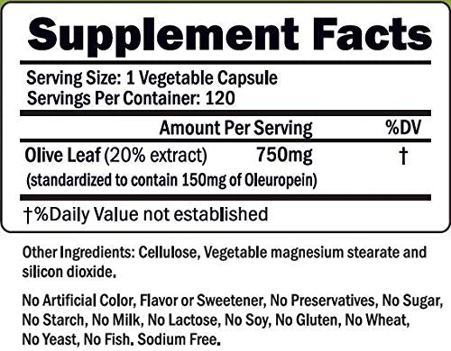 Olive Leaf Extract - 750 Mg - 120 Capsules - Extra Strength - 20% Oleuropein - Non-GMO Formula - Premium Quality From Pure Olive Leaves - Powerful Antioxidant - Great for Heart, Skin and Immune System - BeesActive Australia