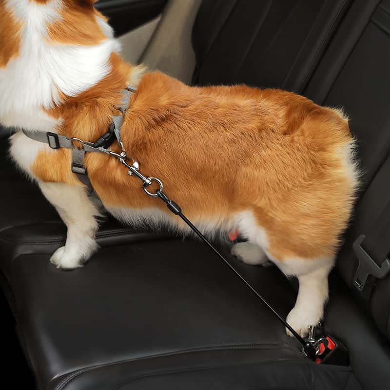Mi Metty Dog Car Harnesses.Dog Car Seatbelt Made of Coated Wire Rope Safety Restraint No-Chew Tether Cable Stainless Steel. Vehicle Harnesses with Clips and Latch Attachment. Heavy Duty Dog Leash 24 inch/60 CM - BeesActive Australia