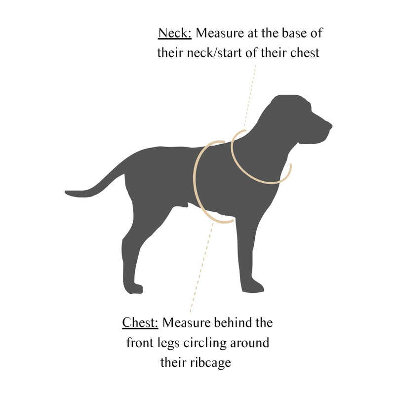 No Pull Adjustable Dog Harness - Water Resistant & Easy to Clean with Control Handle and Pocket Attached | archie & alfred Large - BeesActive Australia