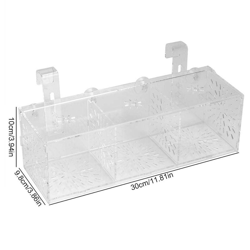 GLOGLOW Aquarium Breeder Box, 3 Sizes Acrylic Transparent Aquarium Breeding Isolation Box Fish Tank Hatchery Incubator Holder 30CM*10CM*10CM - BeesActive Australia