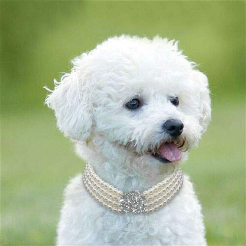 Dogs Kingdom Elegant Fancy Pearls Dog Cat Collar Small Dog Crystal Rose Flower Collar Pet Party Neck Grooming Jewelry Accessory M:10-12" neck White - BeesActive Australia