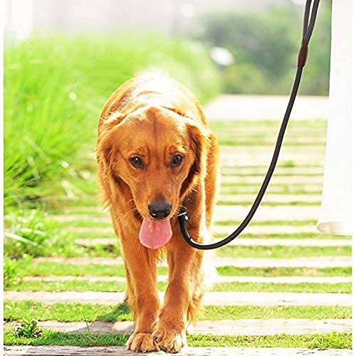 SEPXUFORE Rope Slip Lead Dog Leash, Heavy Duty 1/2” by 5ft Solid Colors 7+ Climbing Nylon Round Dog Training Leash, No Pull Dog Lead Great for Medium and Large 1/2" x 5ft black - BeesActive Australia