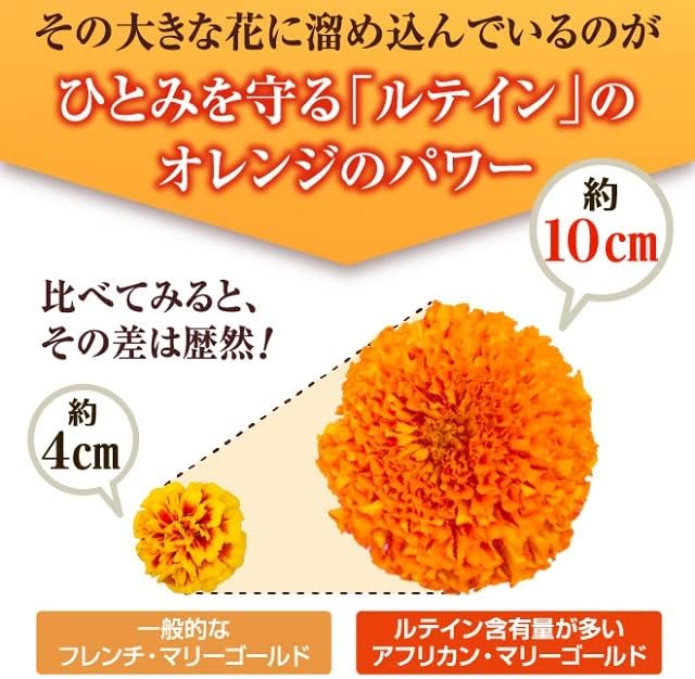 [Official] Wakasa Seikatsu Lutein α 31 tablets (1 month supply) 1 tablet per day Nano Lutein Absorption capacity approximately 1.5 times Contains zeaxanthin, zinc, tocotrienol, and olive oil - BeesActive Australia