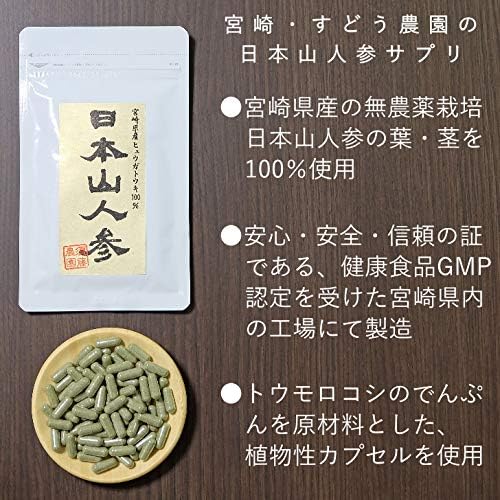 Japanese Mountain Ginseng Hyuga Touki Hyuga Toki Supplement 30 tablets Trial Made in Miyazaki Prefecture Pesticide-free [Limited to 3 bags per person for first time purchase] Hyuga Toki Supplement/Hyu - BeesActive Australia