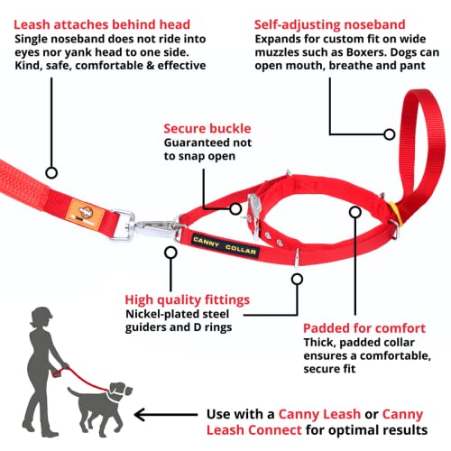Canny Collar Dog Head Collar, No Pull Leash Training Head Harness, Easy to Fit Halter that Stops Pulling, Comfortable & Calm Control with Padded Collar, Kind To Your Dog, Enjoy Gentle Walks with Small, Medium or Large Dogs, Black, Blue, Purple & Red - BeesActive Australia