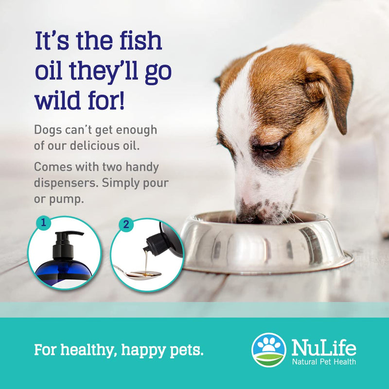Pure Omega 3 Fish Oil for Dogs Liquid, Wild Caught from Iceland, Skin and Coat Supplement for Shedding, Dry Itchy Skin and Allergies, Rich in EPA + DHA with Omega 3, 6 & 9 Fatty Acids, 16 oz - BeesActive Australia