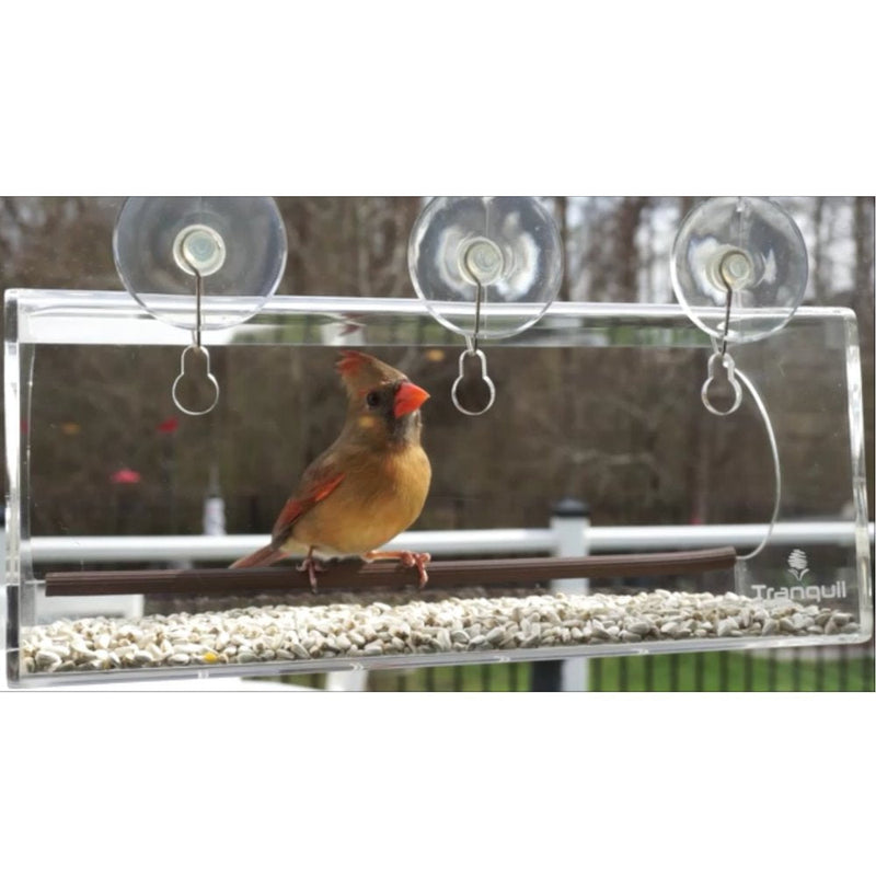 Suction Cup Hooks, Set of 6, 2" Clear Heavy Duty Cups W/ Stainless Hook, Best for Shower, Bathroom, Kitchen, & Windows - Super Strong Pads Makes Them Perfect for Outdoor Use On Wreaths & Bird Feeders - BeesActive Australia