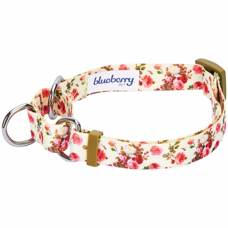 Blueberry Pet 5 Patterns Spring Scent Inspired Rose Print Martingale Safety Training Dog Collars, Personalized Collars Small Ivory - BeesActive Australia