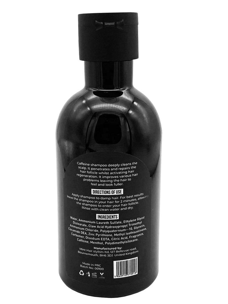HLS (Hair Loss Solutions) - Caffeine Shampoo for Hair Loss, Hair Growth and Thinning Hair - Natural Sulfate Free Treatment with DHT Blockers for Men - BeesActive Australia