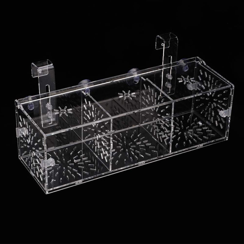 GLOGLOW Aquarium Breeder Box, 3 Sizes Acrylic Transparent Aquarium Breeding Isolation Box Fish Tank Hatchery Incubator Holder 30CM*10CM*10CM - BeesActive Australia