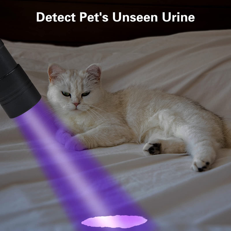 Black Light Flashlight, COSOOS 12LED Small UV Lights 395nm, Portable Black Light Urine Detector for Dog Cat Pet Urine Stain, AAA Batteries Included - BeesActive Australia