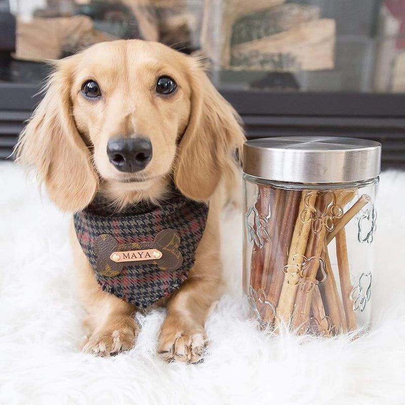 Amici Home Maxwell Dog Canister Medium - BeesActive Australia