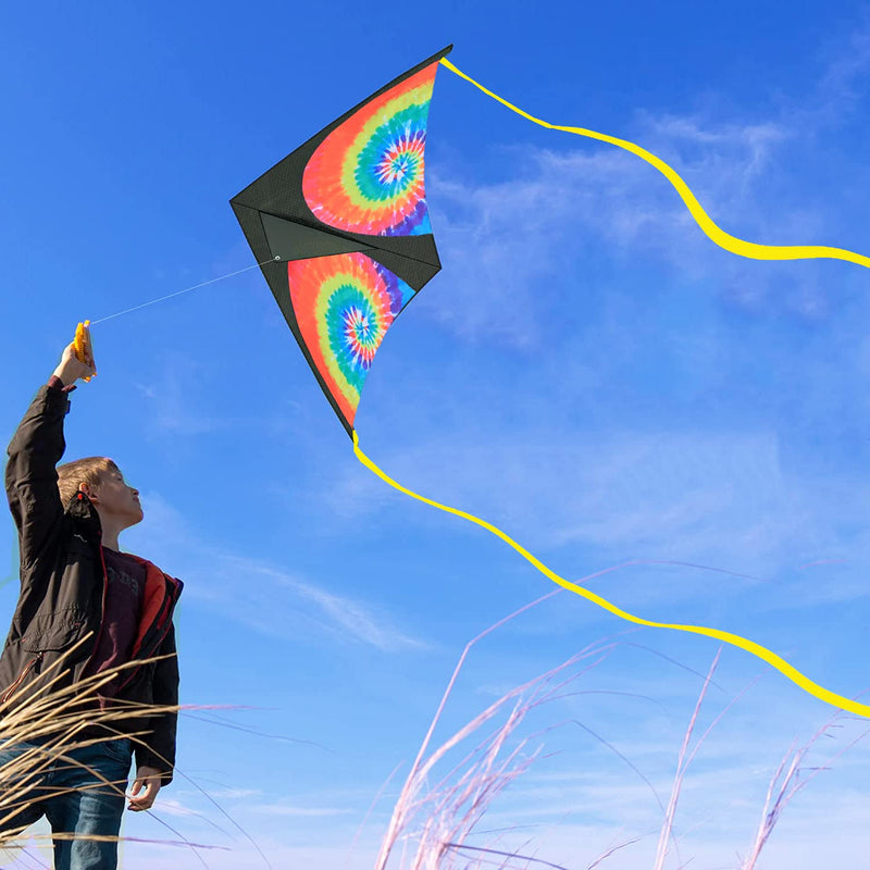 LANRUI Delta Kite for Kids & Adults, Extremely Easy to Fly Kite, Best Kite for Beginner,Kites for Kids Ages 4-8 - BeesActive Australia