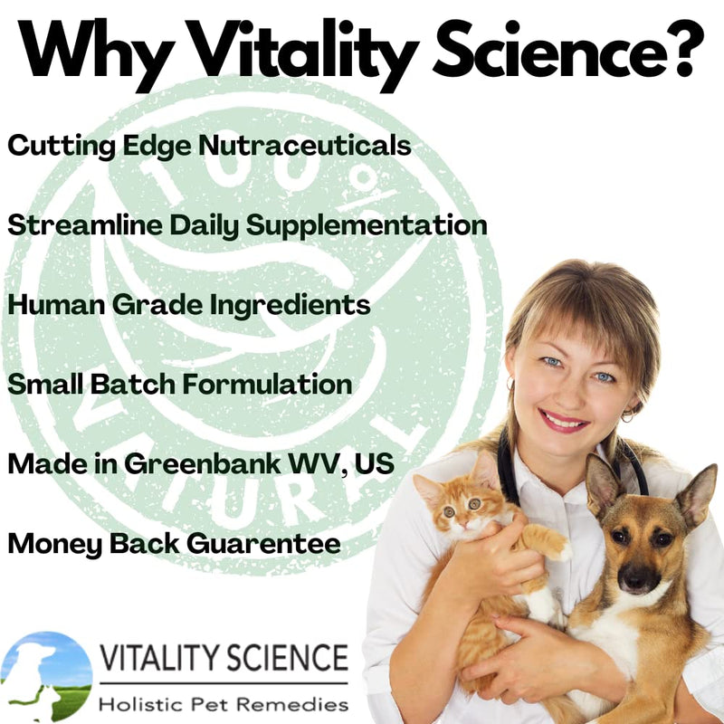 Vitality Science Super Food for Cats | High Potency Multi-Vitamin and Mineral Supplement | Increases Energy and Vitality | 100% Natural 98g - BeesActive Australia