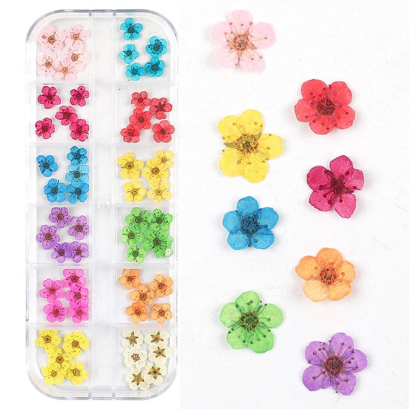 3D Nail Dried Flowers Sticker Set with Tweezers, CHANGAR Real Dried Flowers for Nail Art & Resin Craft DIY Five Petal Flower Leaf Gypsophila Dry Flower Nail Art Decoration Kits(2 Boxes) - BeesActive Australia