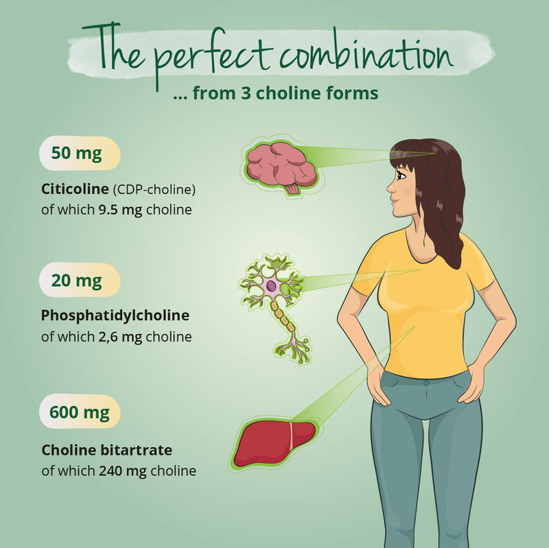 Choline Complex Vegavero� | 3 Forms: Bitartrate, CDP & Phosphatidyl | NO Additives | 90 Vegan Capsules - BeesActive Australia