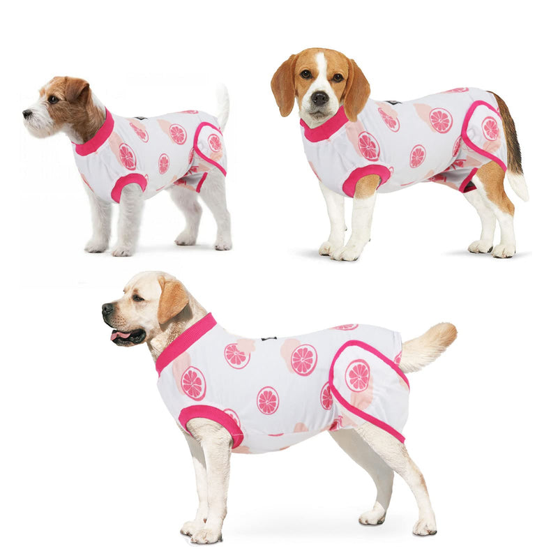 Vanansa Recovery Suit for Dogs Cats After Surgery Prevent Licking Dog Bodysuit Puppy Surgical Clothes Post-Operative Vest S Grapefruit - BeesActive Australia